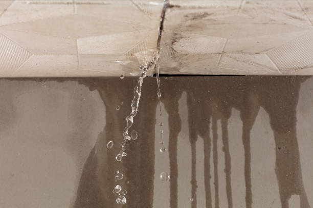 Professional Structural Drying technician working in Franklin Lakes, NJ